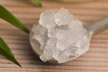 Image showing Water kefir grains