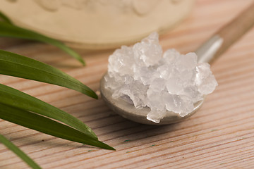 Image showing Water kefir grains