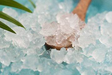 Image showing Water kefir grains