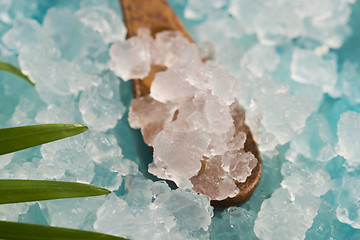 Image showing Water kefir grains