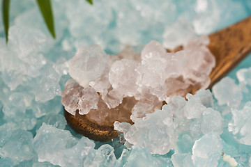 Image showing Water kefir grains