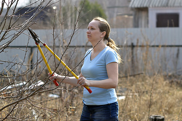Image showing The woman in a garden cuts off branches secateurs with long hand