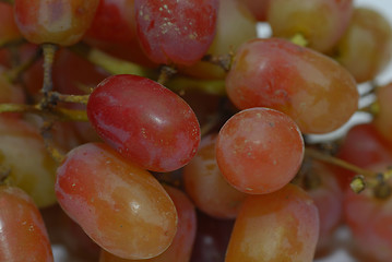 Image showing Grapes