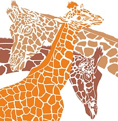 Image showing Giraffe colored heads