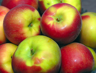 Image showing Apples