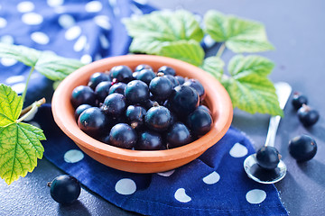 Image showing black currant