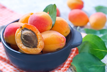 Image showing apricots