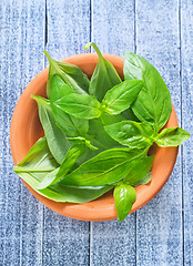 Image showing fresh basil