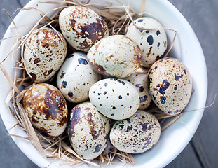 Image showing quail eggs