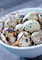 Image showing quail eggs