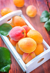 Image showing apricots