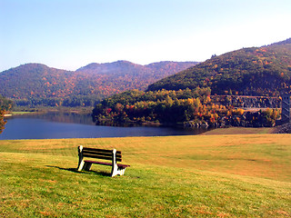 Image showing Fall Foliage