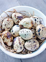 Image showing quail eggs