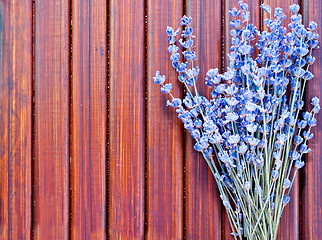 Image showing lavender