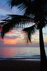 Image showing Tropical Sundown