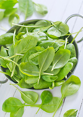 Image showing spinach