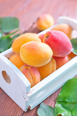 Image showing apricots