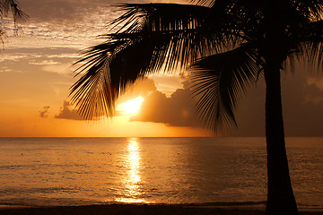 Image showing Tropical Sundown