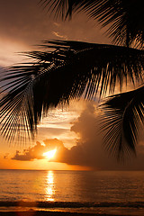 Image showing Tropical Sundown