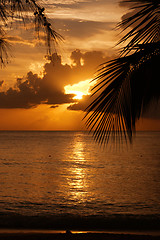 Image showing Tropical Sundown