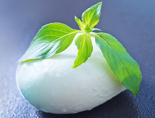 Image showing mozzarella