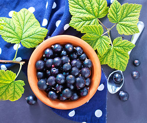 Image showing black currant