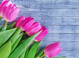 Image showing tulips