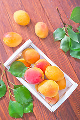 Image showing apricots