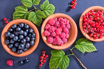 Image showing berries