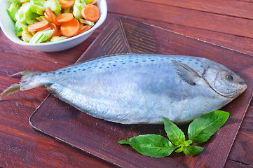 Image showing raw fish