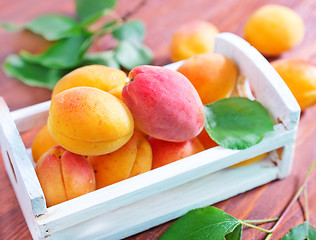 Image showing apricots