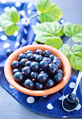 Image showing black currant