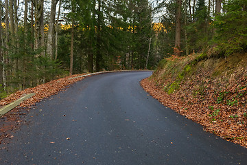 Image showing Road in autumn forest landscape