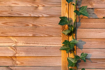 Image showing wooden fence closeup photo