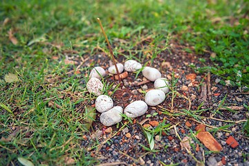 Image showing Rocks and Stones as a Background