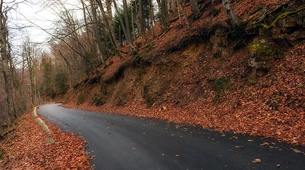 Image showing Road in autumn forest landscape