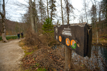 Image showing Small Pathway going trough the forest