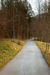 Image showing Small Pathway going trough the forest