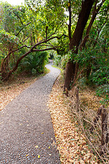 Image showing Pathway in a Park Victoria Falls, Zimbabwe in Spring