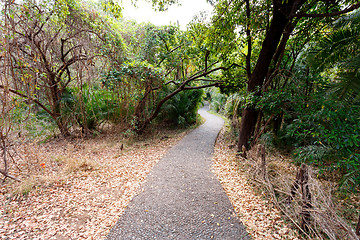 Image showing Pathway in a Park Victoria Falls, Zimbabwe in Spring