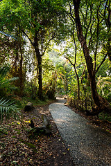 Image showing Pathway in a Park Victoria Falls, Zimbabwe in Spring