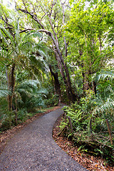 Image showing Pathway in a Park Victoria Falls, Zimbabwe in Spring