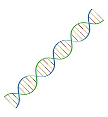 Image showing dna spiral