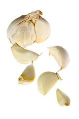 Image showing Clove of garlic

