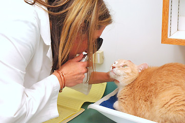 Image showing Veterinarian