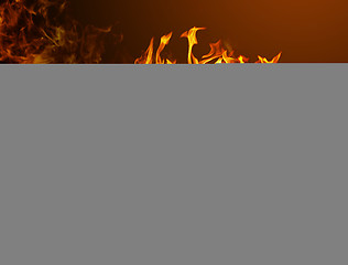 Image showing Flag burning - Nigeria