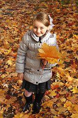 Image showing little girl with yellow leaf in autumn