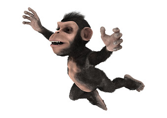 Image showing Little Chimp