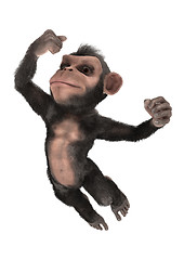 Image showing Little Chimp