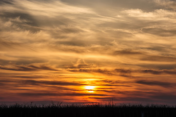 Image showing flying birds on dramatic sunset background